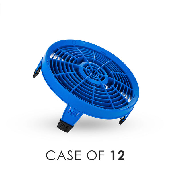 Blue clean screen with 'Case of 12' text on a white background