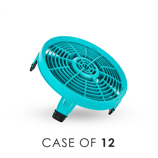 Teal clean screen with 'Case of 12' text on a white background