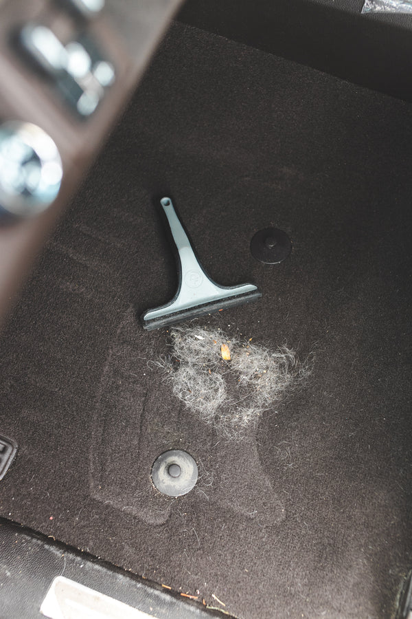 Pet Hair Remover Rake - Case