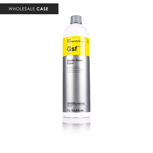 Gentle Snow Foam - Case